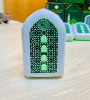 প্লাগিন কুরআন